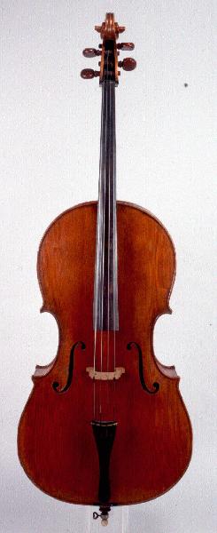 Violoncello