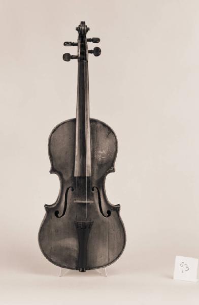 Violino