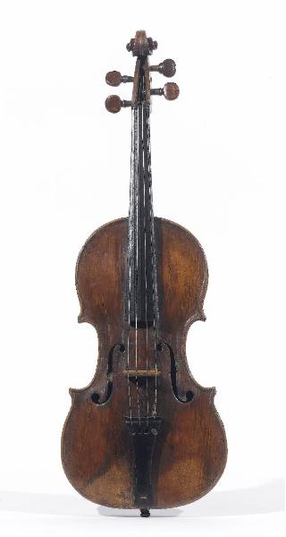 Violino