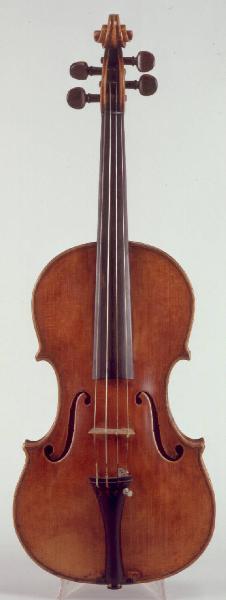 Violino