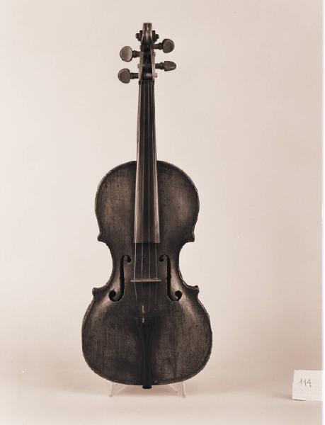 Violino