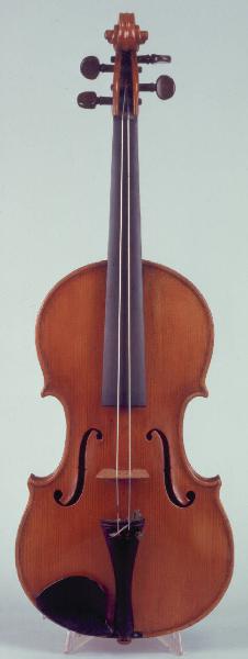 Violino