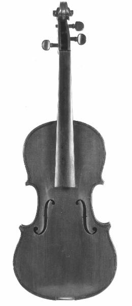 Violino