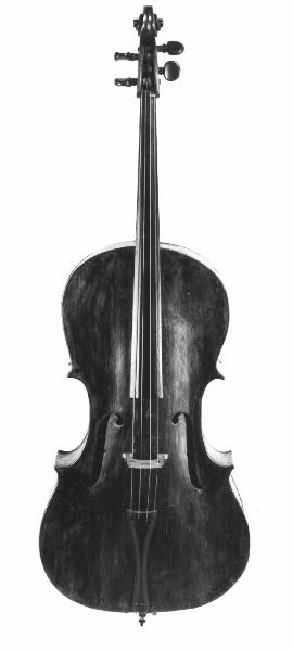 Violoncello