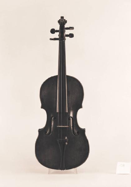 Violino