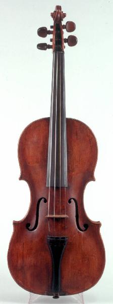 Violino