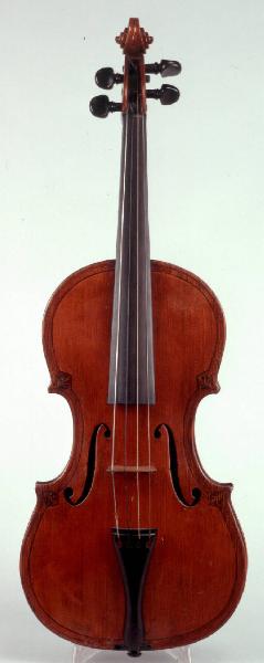 Violino