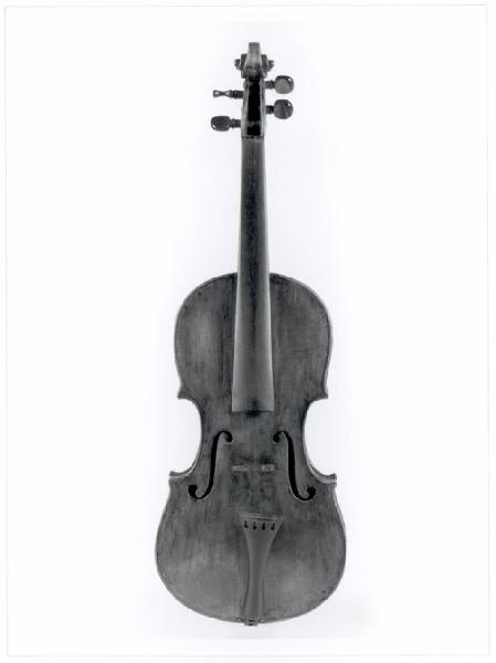 Violino