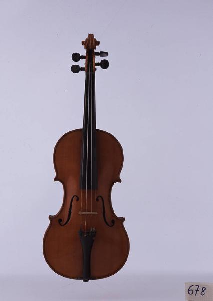 Violino