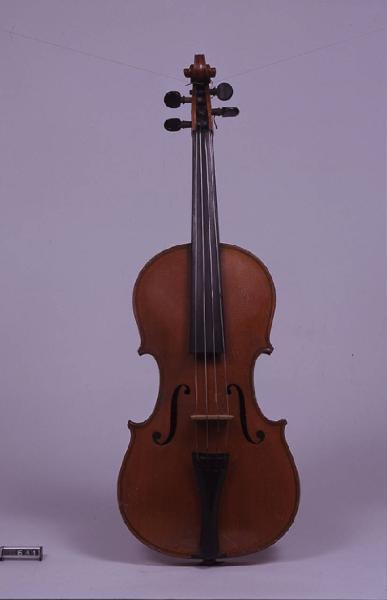 Violino