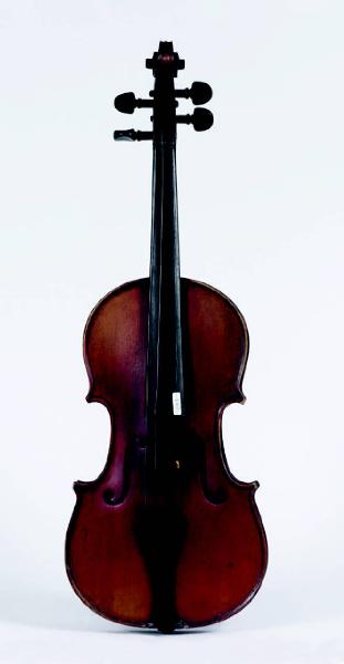 Violino