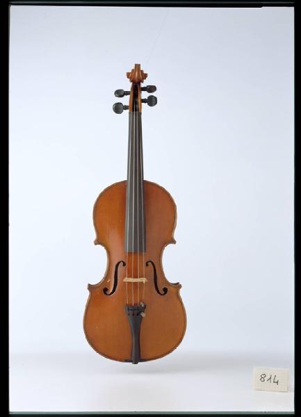 Violino