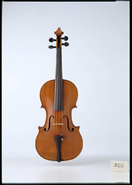 Violino