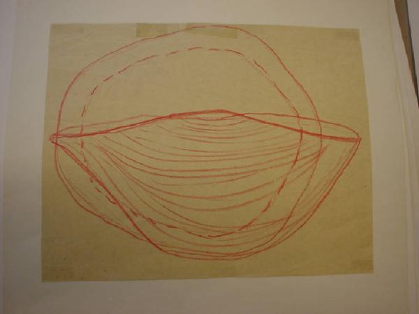 Rilievo grafico della calotta del ritratto in terracotta di Lucio Fontana