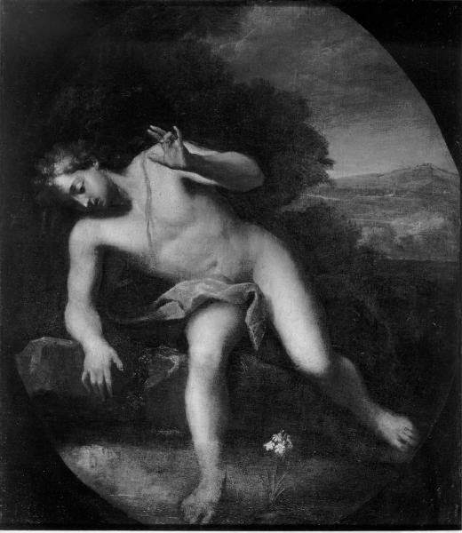 Narciso al fonte