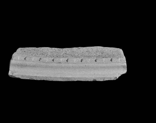 Parte di archivolto con modanatura a dentelli da Santa Tecla