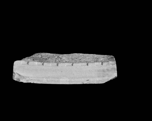 Parte di archivolto con modanatura a dentelli da Santa Tecla