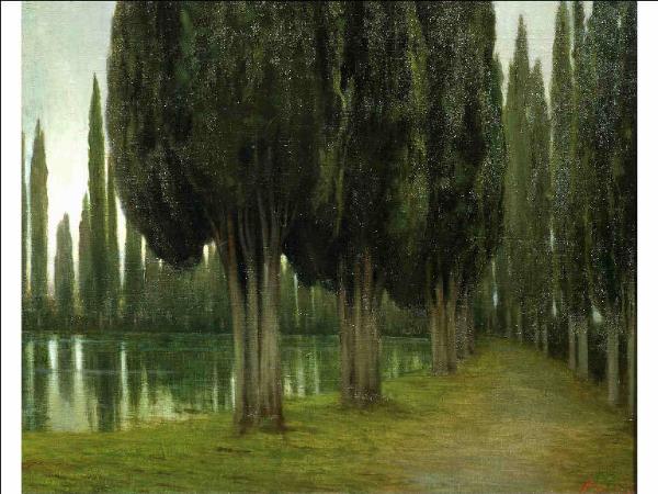 VIALE DI CIPRESSI CON RIFLESSI IN ACQUA