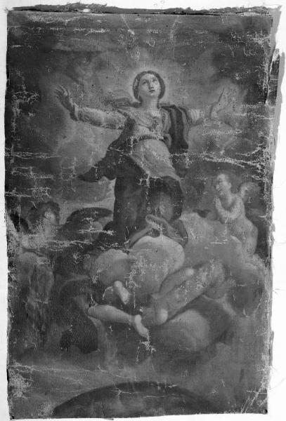 Assunzione della Madonna