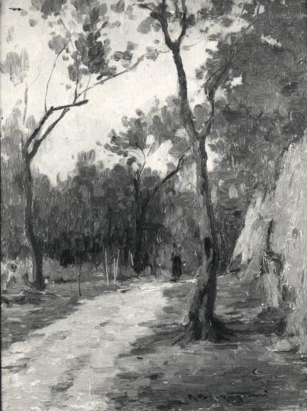 Strada di campagna