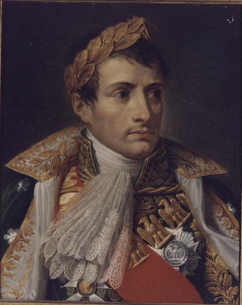 Napoleone nelle vesti di imperatore