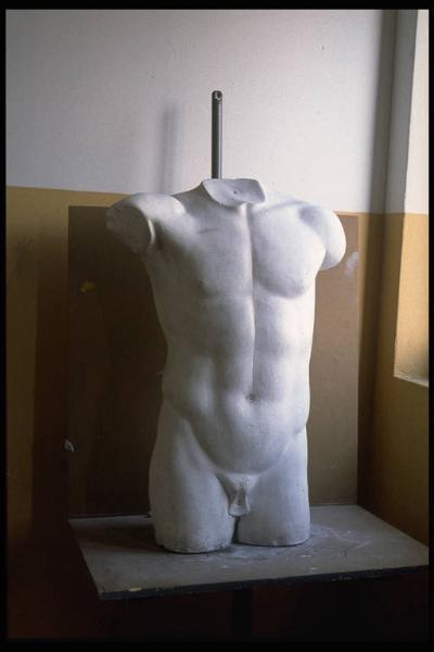 Torso maschile