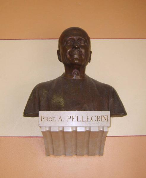 Ritratto del prof. A. Pellegrini