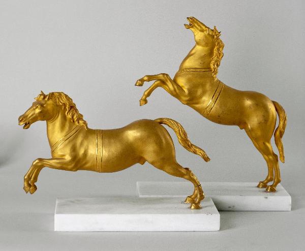 Cavallo al galoppo