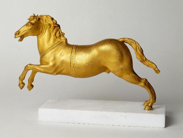Cavallo al galoppo