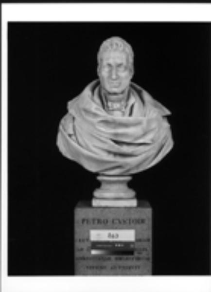 Busto maschile