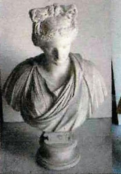 Busto di Venere (?)