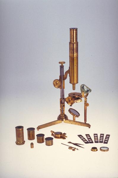 Microscopio composto - scienze della vita