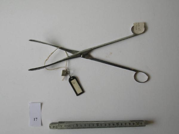 Pinza per polipi - medicina