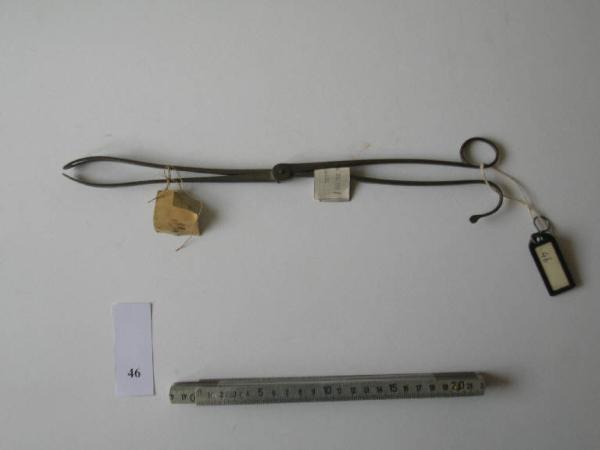 Pinza per polipi - medicina