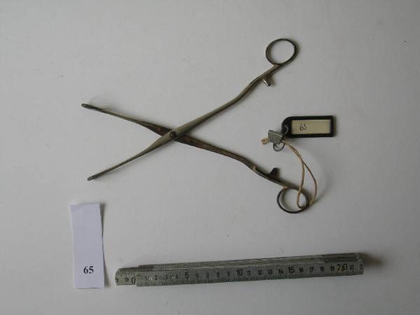 Pinza ad anello - medicina