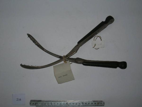 Pinza dentata - medicina