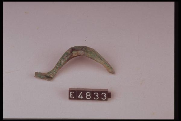 Fibula a navicella