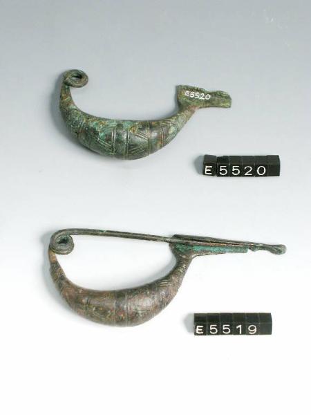 Fibula a navicella