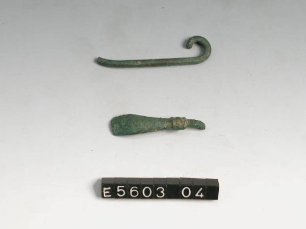 Fibula tipo certosa