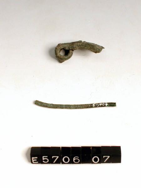 Fibula a navicella