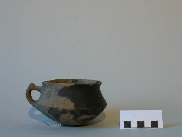 Tazza carenata