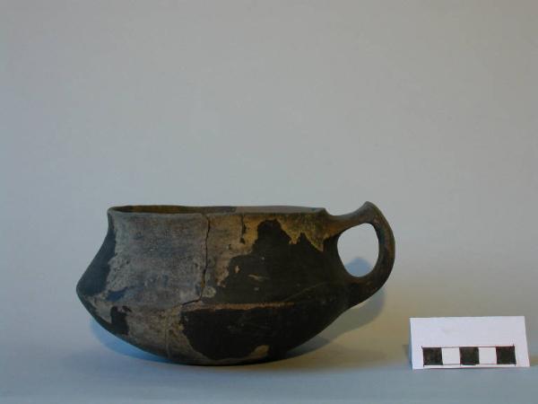 Tazza carenata