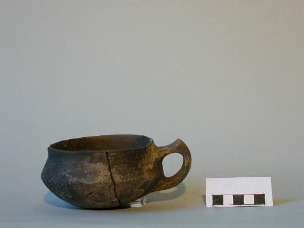 Tazza carenata