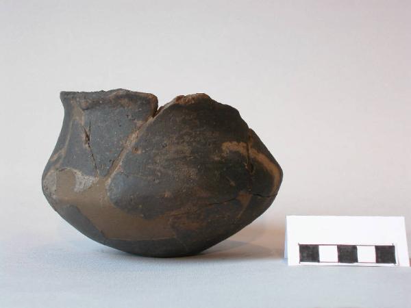 Tazza carenata