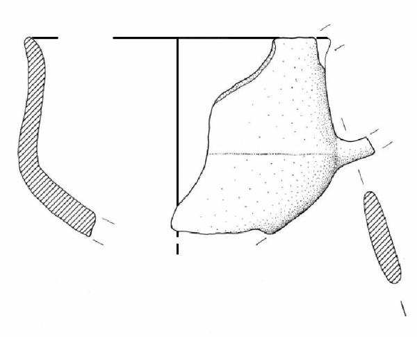 Tazza carenata