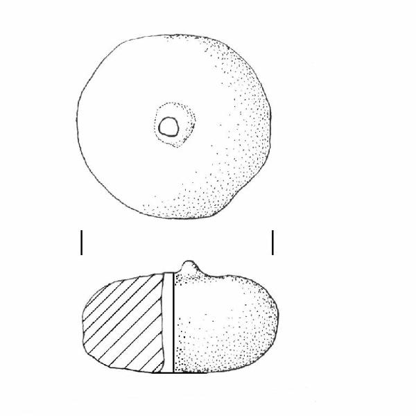 Fuseruola lenticolare