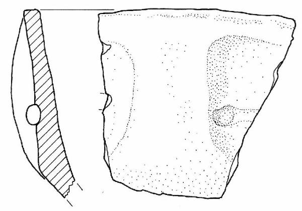 Scodella carenata