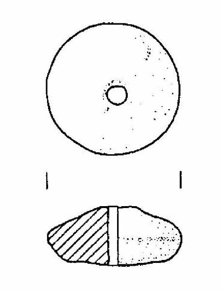 Fuseruola bitroncoconica