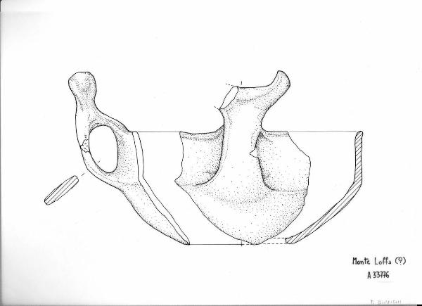 Tazza carenata