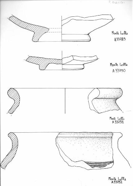 Olla ovoide